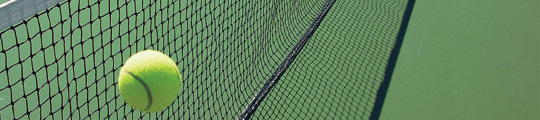 Tennis Ball and Net