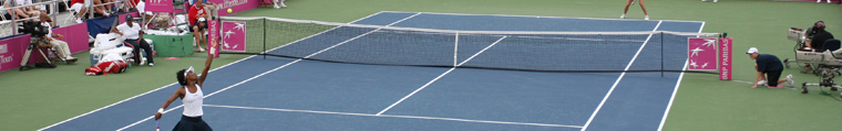 Fed Cup